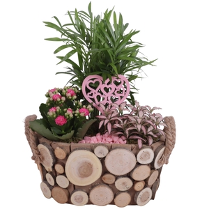 Mothersday Arr. Indoor Wooden Pot Oval Tree Chucks Ø23cm 3PP