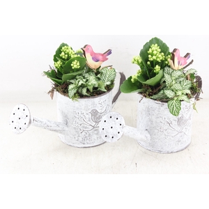 arr2 TD - Zink gieter - wit