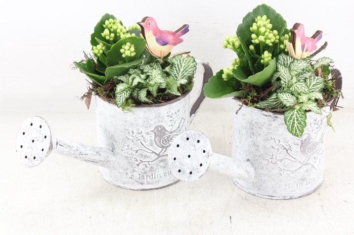 <h4>arr2 TD - Zink gieter - wit</h4>