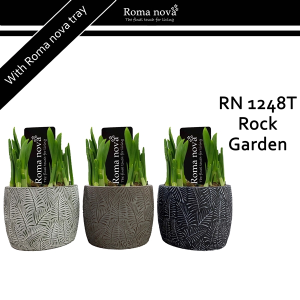<h4>1248T - Rock Garden (Tete a Tete)</h4>