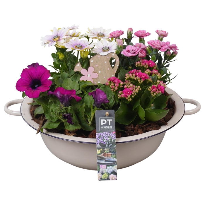 <h4>PTPP6854 Arrangement Patio in metalen schaal</h4>