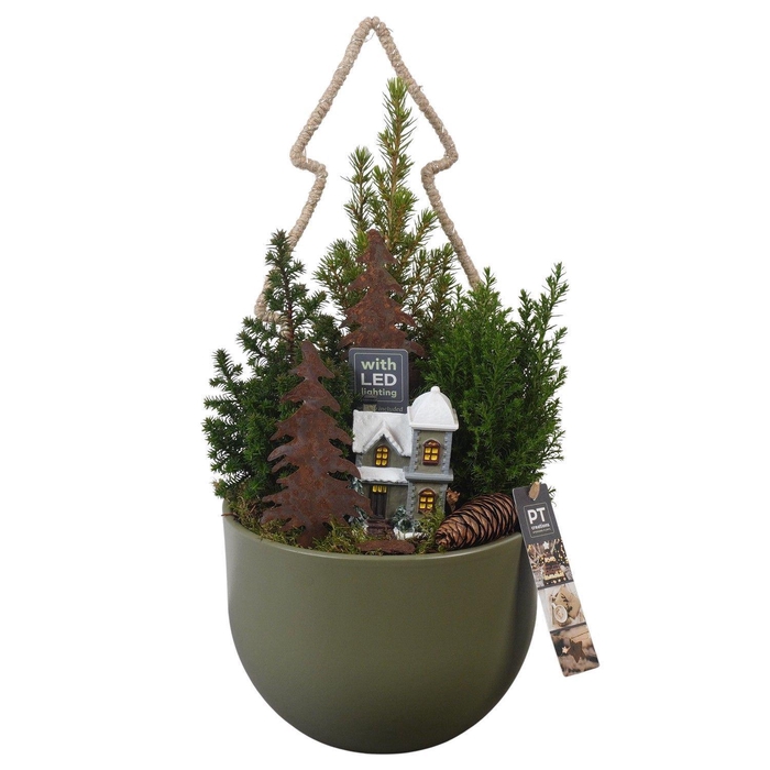 <h4>Arr. Kerst H%</h4>