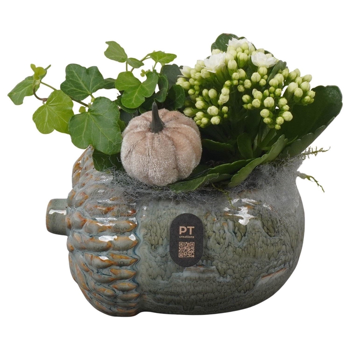 <h4>Arr.    Planten  L%</h4>