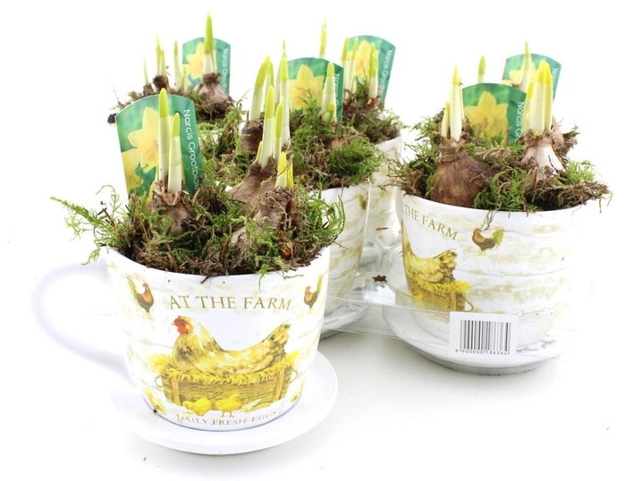 <h4>ARR N TETE A TETE</h4>