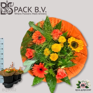 GEM ZOMERBOEKET