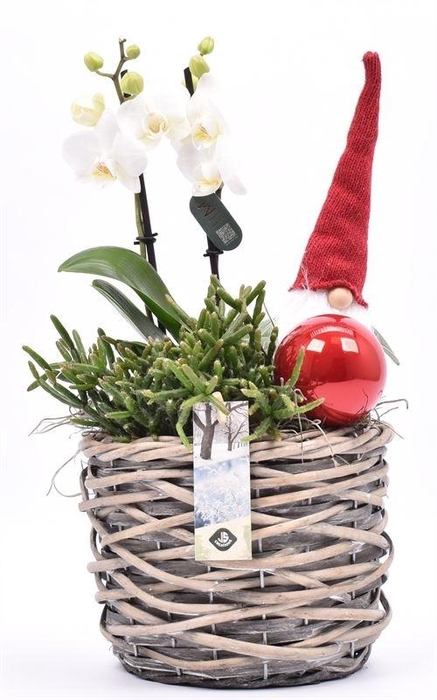 Wilg mand grijs 18cm