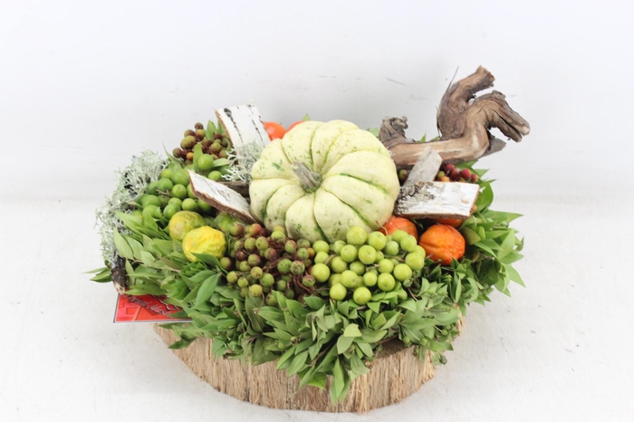 <h4>arr4 Sierfruit GB - Hout schijf krans</h4>