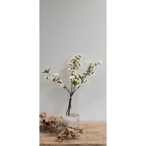 CHERRY BLOSSOM BUNDLE CREAM BK77000 L40