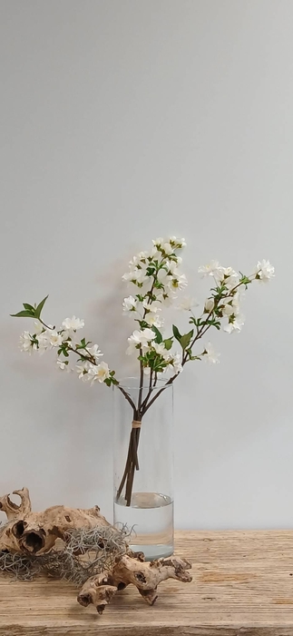 <h4>CHERRY BLOSSOM BUNDLE CREAM BK77000 L40</h4>