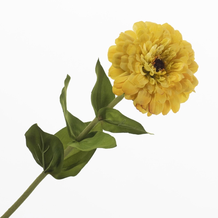 <h4>Zinnia Yellow FL440374YEL</h4>
