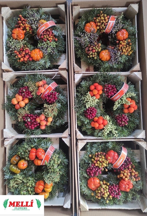 <h4>SIERFRUIT KRANS H%</h4>