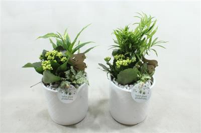 <h4>Sc001 Amy White</h4>