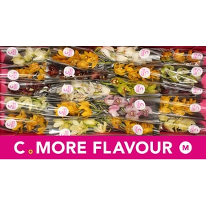 Cymbidium Mix