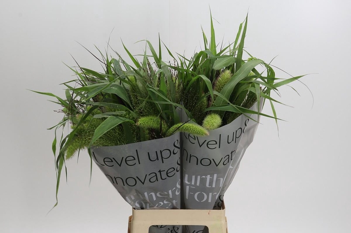 <h4>Grasses mix in bucket</h4>
