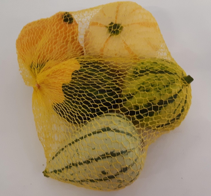 <h4>Cucurbita Maya Mix</h4>