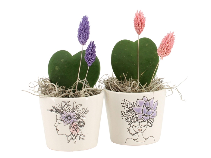 <h4>21698: Lovess arrangement</h4>