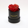 Box rd 8cm glitter zwart-rood