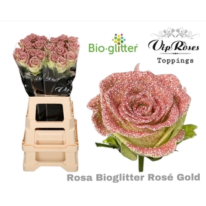 R GR BIO GLITTER ROSE GOLD x20