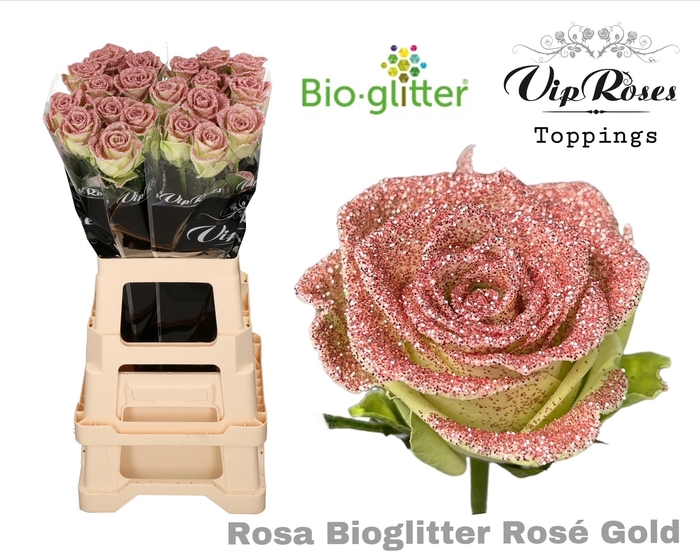 <h4>R GR BIO GLITTER ROSE GOLD x20</h4>