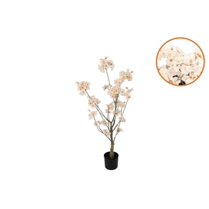 Silk Cherry Blossom Tree Champagne 90cm