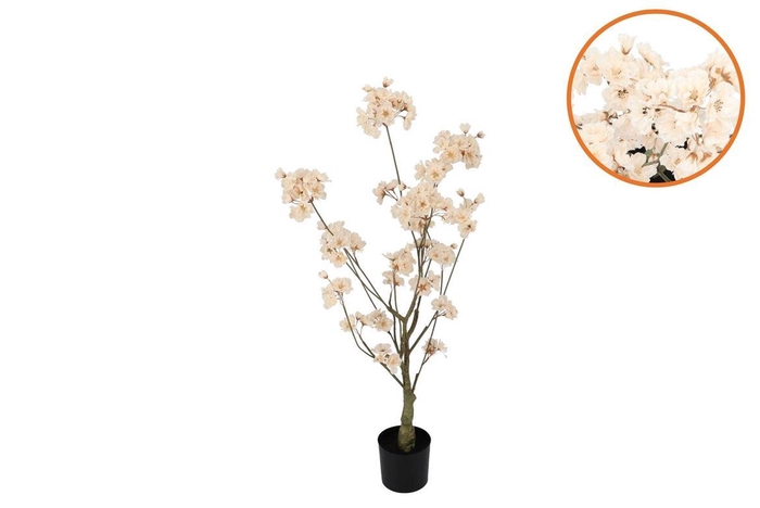 <h4>Silk Cherry Blossom Tree Champagne 90cm</h4>