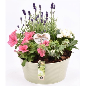 Zink schaal ribbell khaki 25cm