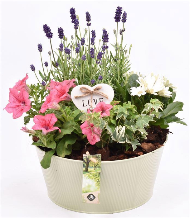 <h4>Zink schaal ribbell khaki 25cm</h4>