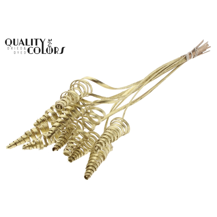 <h4>Cane Cone on stem Gold</h4>