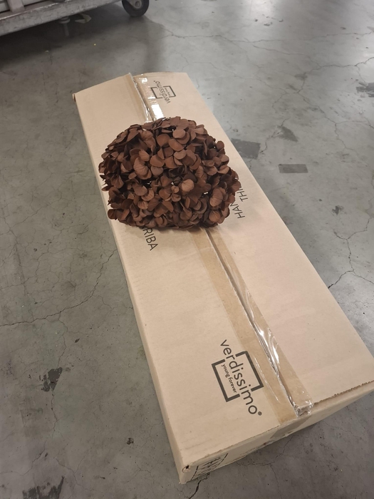 <h4>Dried hydrangea coffee</h4>