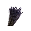Lavendel Blue Dark Extra 75 grams