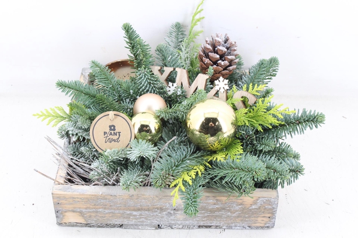 <h4>arr5 Kerst PL - Hout 4kant dienblad Goud</h4>