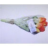 3106 KUNST TULP ORANGE