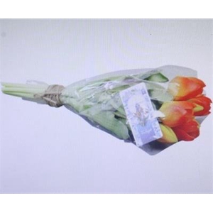 3106 KUNST TULP ORANGE