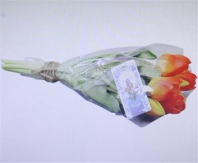 3106 KUNST TULP ORANGE