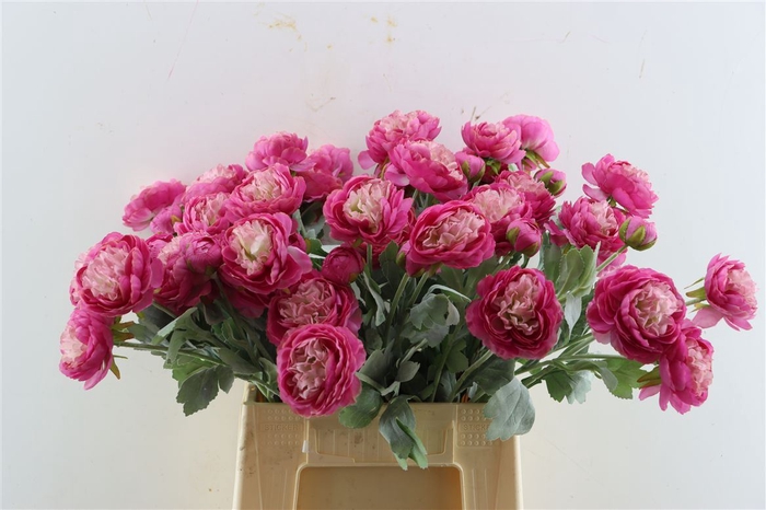 <h4>Artificial Stem Ranunculus Cyclame</h4>