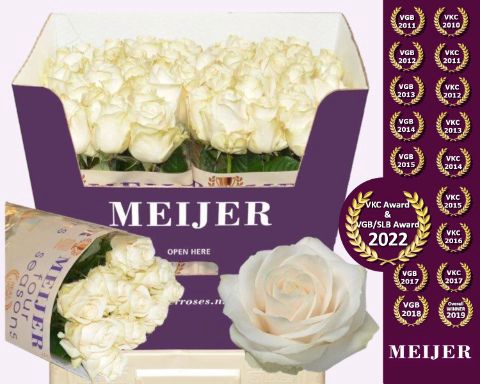 <h4>Rozen Rosa Four Seasons</h4>