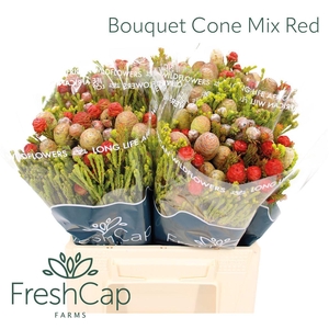 Bouquet Cone Mix Red