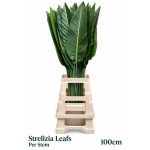 STRELIT BLAD