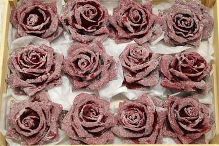 Wax Roos Icy Bordeaux