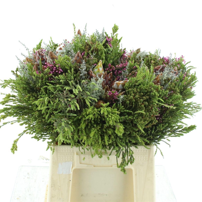 Kaaps Bouquet Cone Mix