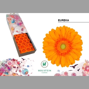 GE GR EUREKA