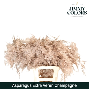 Aspa extra veren Champagne