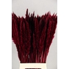 DF Pampas Silvy Bs 10pc Bordeaux