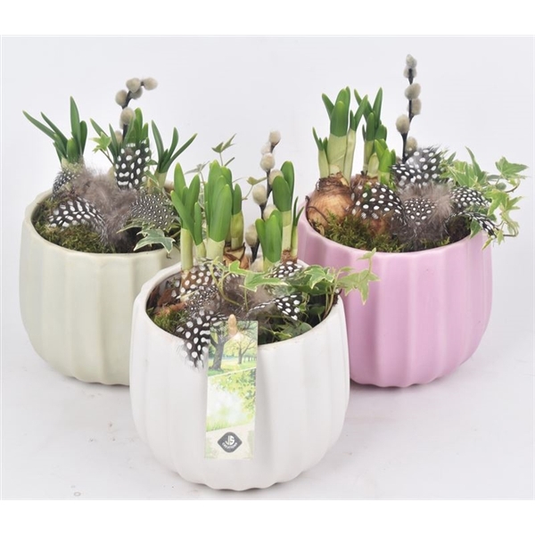 <h4>Keramiek pot kleur mix 14cm</h4>