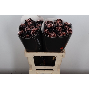 R Ov Wx Vintage Black Copper