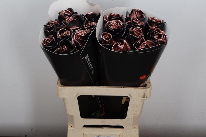 <h4>R Ov Wx Vintage Black Copper</h4>