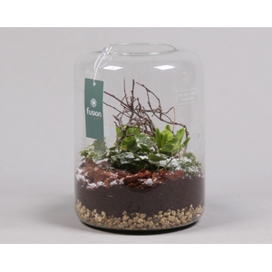 Green Bottle Isabella Large met Groene Planten