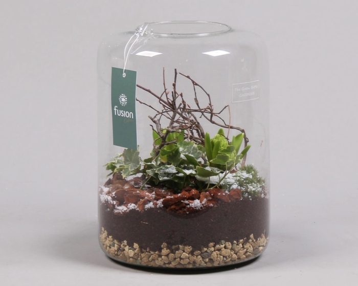 <h4>Green Bottle Isabella Large met Groene Planten</h4>