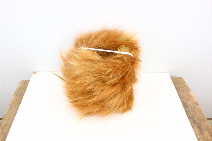 Wr Foxtail 22cm Natural