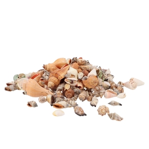 Shell Mix Large A 1 Kg